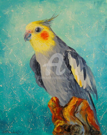 Painting titled "Corella parrot" by Olha, Original Artwork, Oil