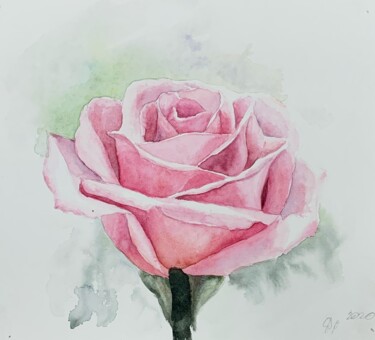 Peinture intitulée "rose" par Daria Kamishanova, Œuvre d'art originale, Aquarelle