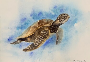 Pintura intitulada "Sea turtle" por Daria Kamishanova, Obras de arte originais, Aquarela