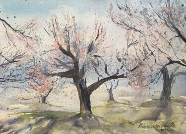 Painting titled "Apricot garden. Spr…" by Daria Kamishanova, Original Artwork, Watercolor