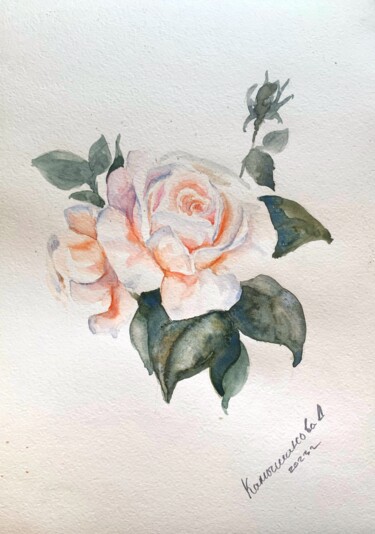 Картина под названием "Delicate rose" - Daria Kamishanova, Подлинное произведение искусства, Акварель