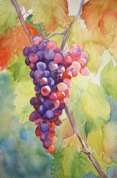 Malerei mit dem Titel "Grapes" von Daria Kamishanova, Original-Kunstwerk, Aquarell