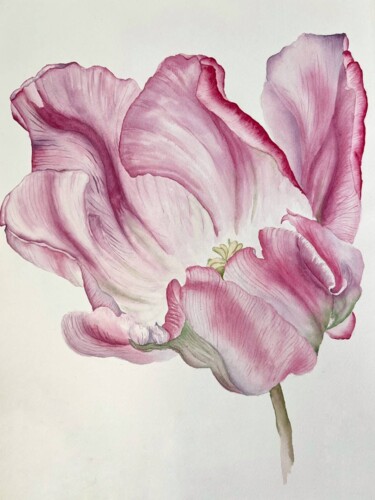 Malerei mit dem Titel "Pink tulip" von Dariia Pavlenko, Original-Kunstwerk, Aquarell