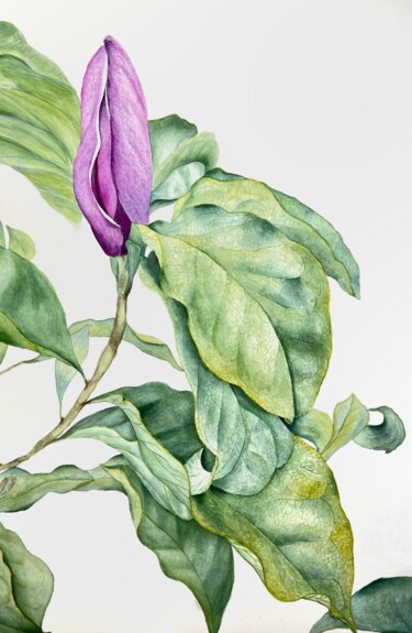 Painting titled "Magnolia" by Dariia Pavlenko, Original Artwork, Watercolor