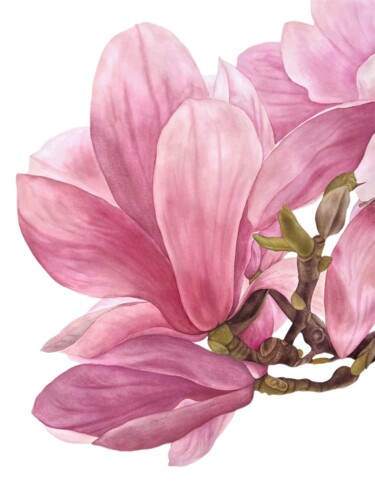 Картина под названием "Pink Magnolia Magic" - Dariia Pavlenko, Подлинное произведение искусства, Акварель