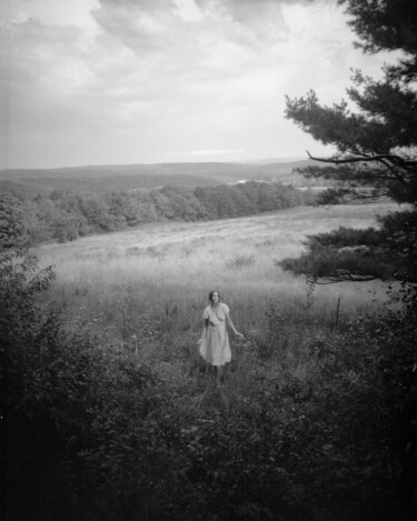 Fotografie getiteld "Edge of the Forest" door David Aimone, Origineel Kunstwerk, Film fotografie