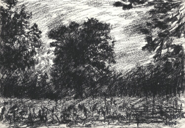 Dessin intitulée "Etude d'un arbre" par David Benayoun, Œuvre d'art originale, Crayon