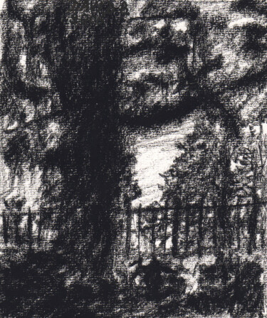 Dessin intitulée "Tronc d'arbre" par David Benayoun, Œuvre d'art originale, Crayon