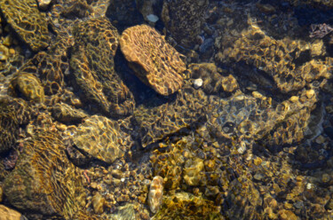 Fotografie mit dem Titel "Underwater Stones" von David Glotfelty, Original-Kunstwerk, Digitale Fotografie