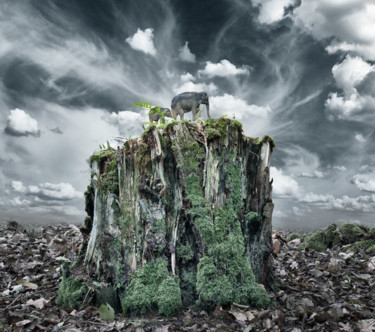 "A Bit of Wilderness…" başlıklı Fotoğraf David Heger tarafından, Orijinal sanat, Fotoşoplu fotoğrafçılık