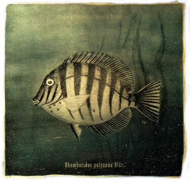Goldfish - Alternative photo - Resinotype on gold 16/30 Photography titled "Goldfish - Alternat…" by David Heger, Original Art, Analog photography
