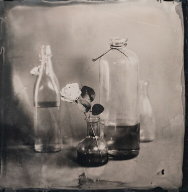摄影 标题为“White Rose - Ambrot…” 由David Heger, 原创艺术品, 电影摄影 安装在玻璃上