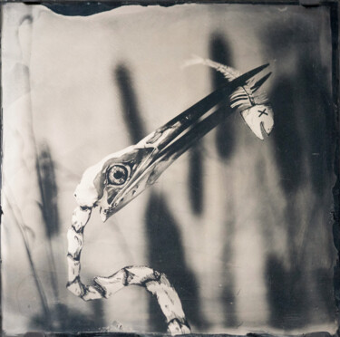 Photographie intitulée "Two skeletons - Amb…" par David Heger, Œuvre d'art originale, Photographie argentique