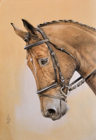 图画 标题为“Horse” 由David Mela, 原创艺术品, 石墨
