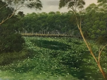 Pintura titulada "A Quiet Lagoon, NT" por David O'Halloran, Obra de arte original, Oleo