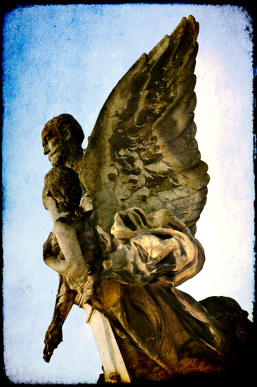 Fotografia intitulada "angel" por David Page, Obras de arte originais, Fotografia digital