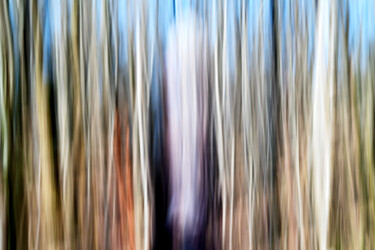 Фотография под названием "silver stripe" - David Page, Подлинное произведение искусства, Цифровая фотография