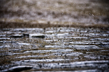 Photography titled "raindrops on cobble…" by David Page, Original Artwork, Digital Photography