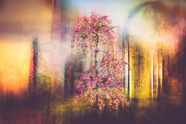 Fotografie mit dem Titel "cerisier" von David Penez, Original-Kunstwerk, Digitale Fotografie