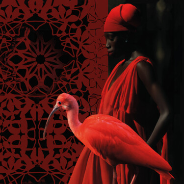 Arte digitale intitolato "Les oiseaux" da David Samblanet, Opera d'arte originale, Fotomontaggio Montato su Telaio per barel…