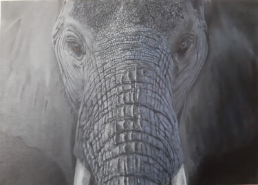 Картина под названием "elephant look" - Давид Саргсян, Подлинное произведение искусства, Масло Установлен на Деревянная рама…