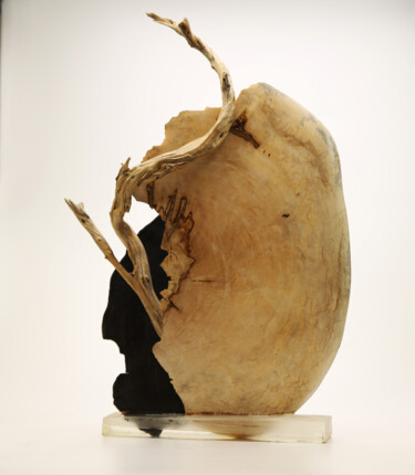 雕塑 标题为“la mémoire” 由David Siboni, 原创艺术品, 木