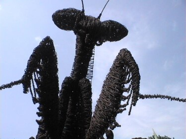 Sculptuur getiteld "bidsprinkhaan kunst" door David Vanorbeek, Origineel Kunstwerk, Metalen