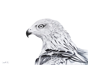 Dessin intitulée "Le faucon" par David Da Costa, Œuvre d'art originale, Crayon