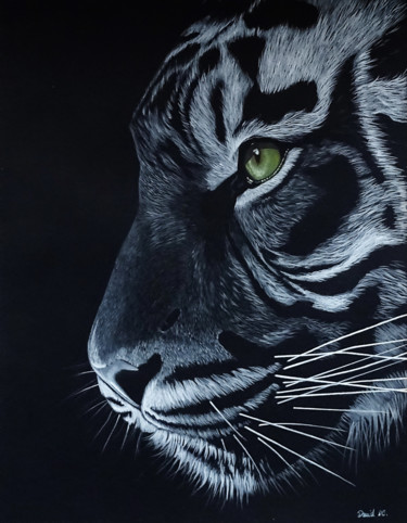 Dessin intitulée "Le tigre" par David Da Costa, Œuvre d'art originale, Crayon