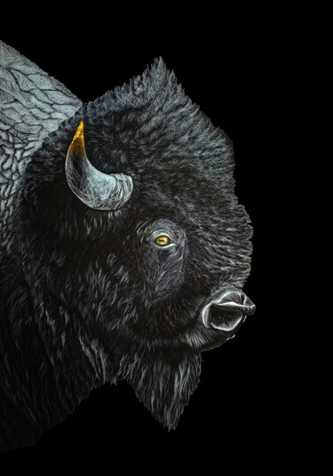 Dessin intitulée "Le bison" par David Da Costa, Œuvre d'art originale, Crayon