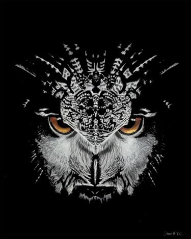 Le hibou Dessin intitulée "Le hibou" par David Da Costa, Œuvre d'art originale, Crayon