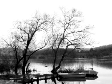 Fotografia zatytułowany „November on a lake” autorstwa Davide Novello, Oryginalna praca, Fotografia cyfrowa