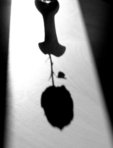 Fotografie getiteld "Shadow" door Davide Novello, Origineel Kunstwerk, Digitale fotografie