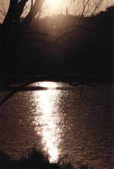 Photography titled "Sunlight" by Davide Novello, Original Artwork, Analog photography