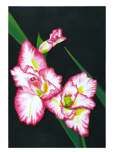 Malarstwo zatytułowany „Gladiolus” autorstwa Davide Novello, Oryginalna praca, Akryl