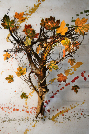 Fotografía titulada "Fall" por Davide Poggio, Obra de arte original, Fotografía digital