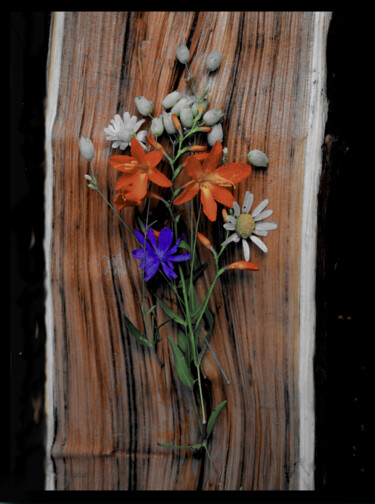 Fotografie getiteld "Flowers" door Davide Poggio, Origineel Kunstwerk, Niet gemanipuleerde fotografie