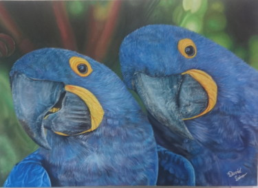 Painting titled "Blue Arara" by David Lino, Original Artwork, Oil