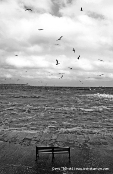 Photography titled "Let the Birds Fly,L…" by David Tesin Sky, Original Artwork