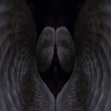 Fotografia intitulada "Angel wings" por Dawn Mccutcheon, Obras de arte originais, Fotografia digital