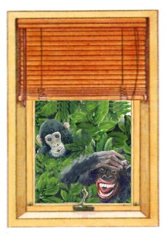 Pittura intitolato "Monkey Biz - Trompe…" da Dawna Taylor Jones Jones, Opera d'arte originale, Acrilico