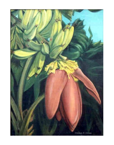 Pintura titulada "Banana Blossom by D…" por Dawna Taylor Jones Jones, Obra de arte original