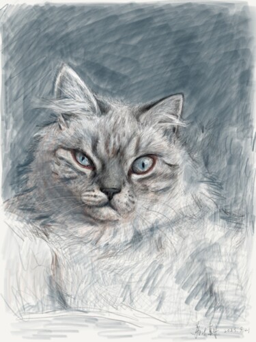 Digital Arts titled "Angry cat" by Dazhao Su, Original Artwork, Digital Painting