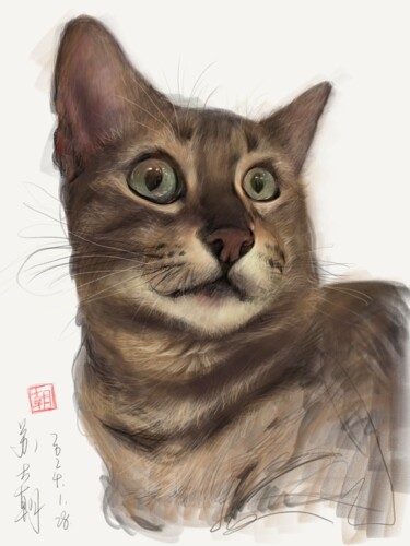 Digital Arts titled "cat" by Dazhao Su, Original Artwork, Graphite