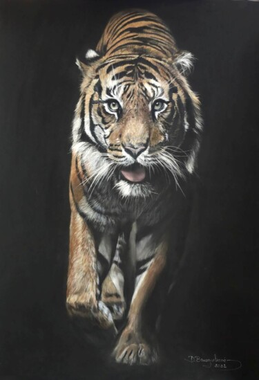 Dessin intitulée "Tiger Royal Origina…" par Deimante Bruzguliene, Œuvre d'art originale, Crayon