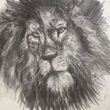 Zeichnungen mit dem Titel "Head of a Lion" von Digby Chacksfield, Original-Kunstwerk, Kohle