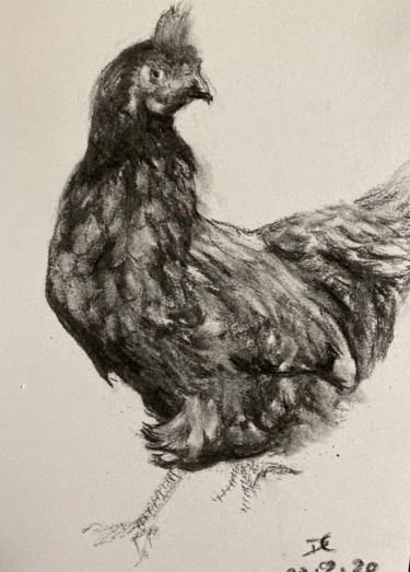 Drawing titled "Greg’s Chicken" by Digby Chacksfield, Original Artwork, Charcoal