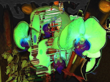 Digitale Kunst mit dem Titel "threder" von Ariel Velez, Original-Kunstwerk, 2D digitale Arbeit