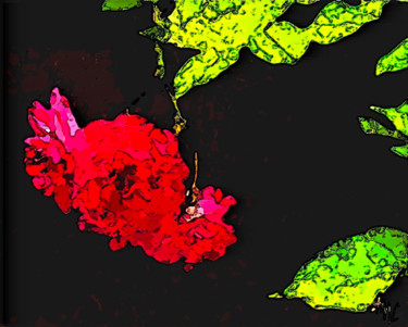 Fotografia zatytułowany „roses grimpantes” autorstwa Mchris, Oryginalna praca, Fotografia cyfrowa