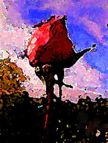Photographie intitulée "bouton de rose" par Mchris, Œuvre d'art originale, Photographie manipulée